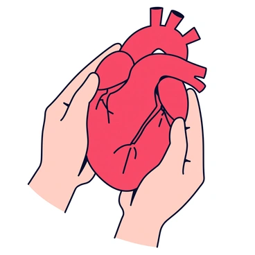 An anatomical heart depicted in rich red, detailed with veins and arteries. The heart is being carefully held by two hands, which are soft and gentle in appearance. The hands are rendered in a light skin tone and are positioned in a way that suggests tenderness and protection. The background is minimalistic to emphasize the heart and hands, allowing the focus to remain on the symbols of care and compassion.