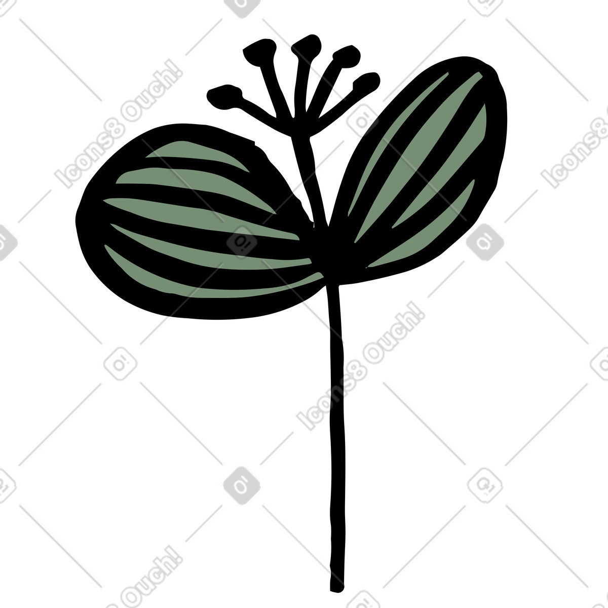 Plant with green striped leaves illustration in Scandi style download in PNG, SVG