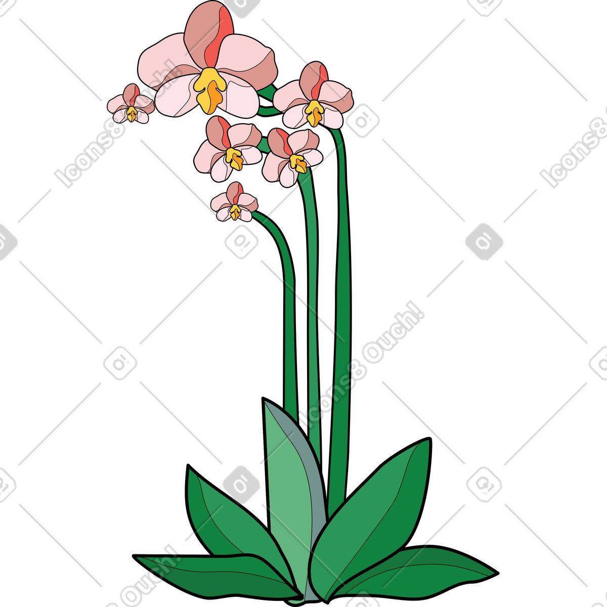 下载 Surr 风格的 兰花 插画，支持 PNG、SVG 格式