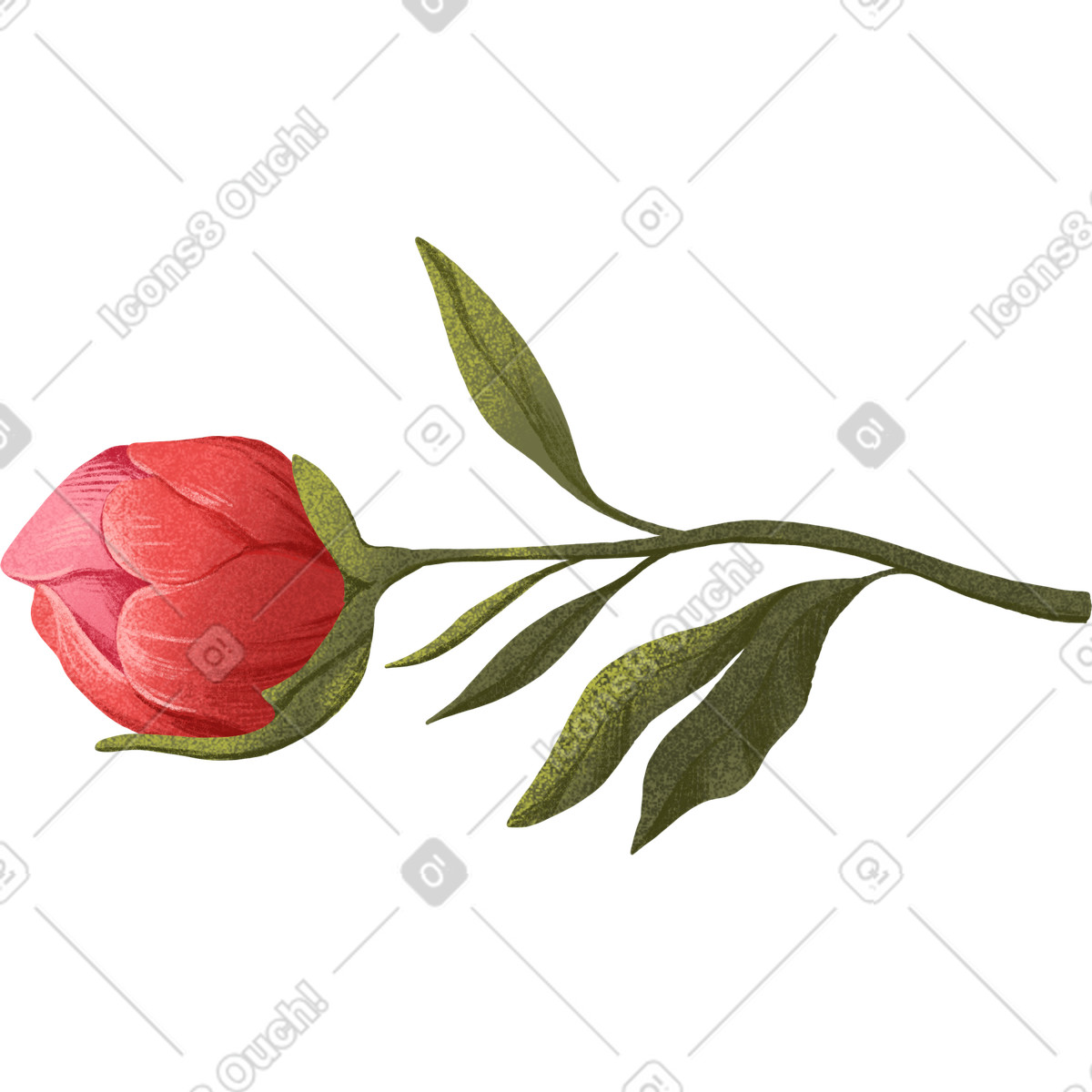 下载 Floral 风格的 Medium sized red bud 插画，支持 PNG、SVG 格式