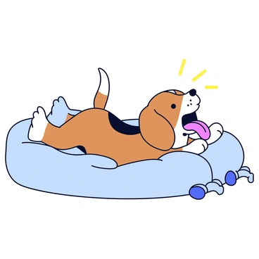 A beagle with brown and white fur is yawning widely, displaying its pink tongue and relaxed facial expression. The dog is lying on a soft, plush bed that has a light blue color and fluffy texture. The bed is situated in a cozy corner of a room, with a few scattered dog toys nearby, ready for playtime after the nap.