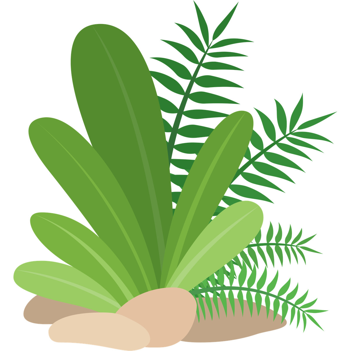 Tropical plants illustration in Fogg style download in PNG, SVG