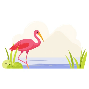 Scarlet ibis