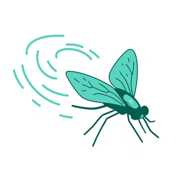 A teal Drosophila fly is shown in mid-flight with its wings blurred to indicate motion. The fly is surrounded by a series of white motion trails that illustrate its flight pattern in the air. These trails radiate outward in a dynamic curving shape, creating a sense of movement and energy. The background is clear, emphasizing the action of the fly and its intricate wing structure.