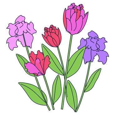 A close-up view of bee balm flowers in various stages of blooming. The flowers display vibrant colors, including bright pink, deep red, and purple. The petals are elongated and frilled, creating a soft texture. Surrounding the flowers are lush green leaves with a slightly glossy finish. The scene captures multiple flowers on tall, slender stems, some fully open while others are just beginning to unfurl.