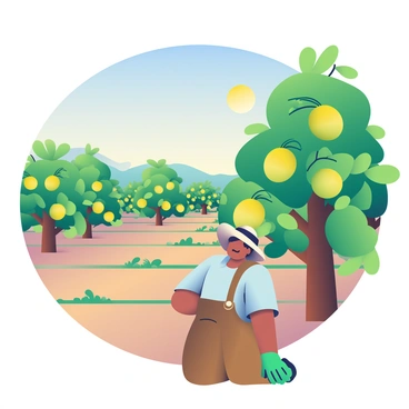 A scenic guava farm is depicted with neat rows of guava trees bearing ripe, green fruit. The trees are lush and healthy, their leaves vibrant in color. In the foreground, a farmer with medium skin and a wide-brimmed hat is kneeling beside a tree, carefully inspecting the branches. The farmer is wearing a light blue shirt and brown overalls, with a pair of green gardening gloves on their hands. In the background, a clear blue sky is visible, and the sun casts a warm glow over the landscape, highlighting the rich green of the trees and the earthy brown of the soil.