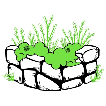 A close-up view of an old stone wall covered in soft green moss. The stones are uneven and weathered, showing signs of age with rough textures and small cracks. The moss has delicate, feathery tendrils sprouting from it, creating a lush, textured appearance. Small patches of lichen can be seen nestled among the stones, adding to the organic feel of the scene. The composition highlights the contrast between the hard stone surface and the soft, vibrant moss covering it.