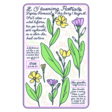 An illustrated herbarium page is displayed, featuring several evening primrose plants. The evening primroses are depicted with elongated leaves and delicate yellow flowers, some in full bloom while others are in various stages of opening. Each plant is labeled with its scientific name in an elegant font. Handwritten notes are scattered around the plants, detailing characteristics like flower anatomy and habitat preferences. The background of the page is textured to resemble aged paper, enhancing the vintage feel of the herbarium.