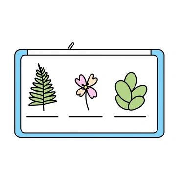 A small board is displaying a series of botanical illustrations. Each illustration features a different plant species, meticulously rendered with clear lines. The first illustration showcases a vibrant green fern with intricate fronds. The second depicts a delicate flower, with petals colored in soft pink and yellow hues. The third illustrates a sturdy succulent with thick, fleshy leaves in varying shades of green. The illustrations are evenly spaced on the board, framed by a simple border that complements their designs.