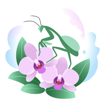 An orchid mantis is perched elegantly on a vibrant pink orchid flower. The mantis displays its intricate green body, blending seamlessly with the petals of the orchid. The flower's delicate, layered petals radiate a soft pink hue, contrasting beautifully with the mantis’s form. Surrounding the orchid, lush green leaves create a rich backdrop, enhancing the vivid colors of the mantis and the flower. Soft gradients of pastel colors fill the background, adding a dreamy atmosphere to the scene.