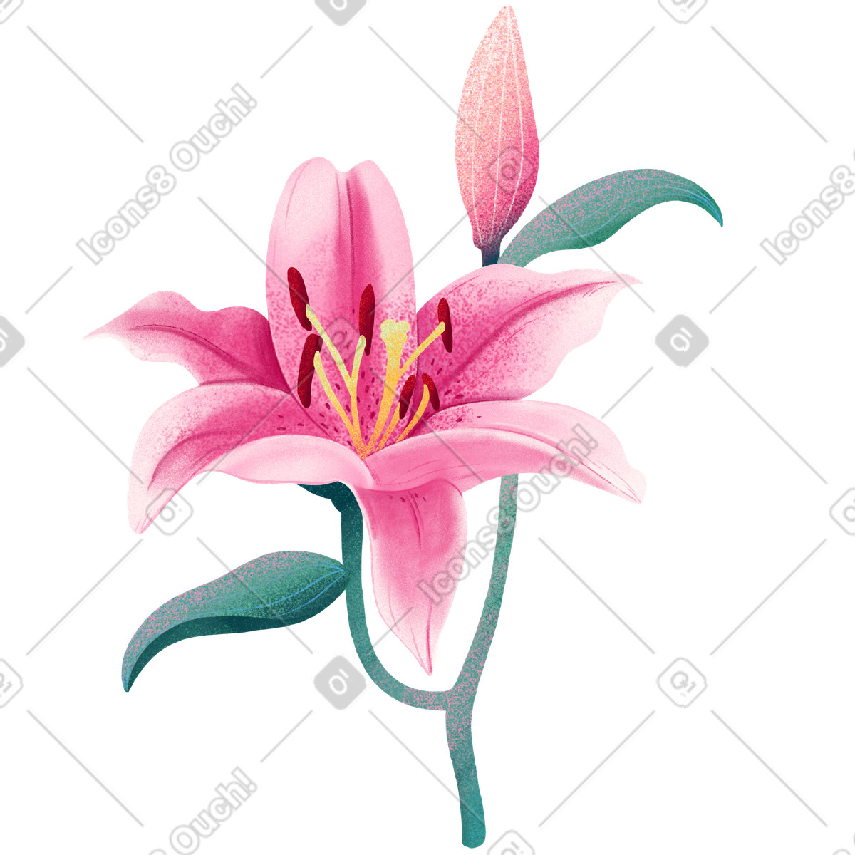 Floral スタイルの Pink lily flower with bud のイラストをPNG、SVG形式でダウンロード