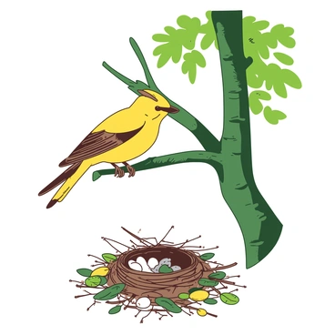 A yellow cedar waxwing is perched on a sturdy branch of a green tree, carefully gathering twigs and materials for its nest. The bird has a sleek, elegant body and a distinctive crest on its head, while its beak is slightly open as it holds a small twig. Below the branch, a pile of assorted twigs and leaves is scattered, indicating the beginnings of the nest. Soft sunlight filters through the tree leaves, creating dappled patterns of light on the waxwing and the surrounding area.