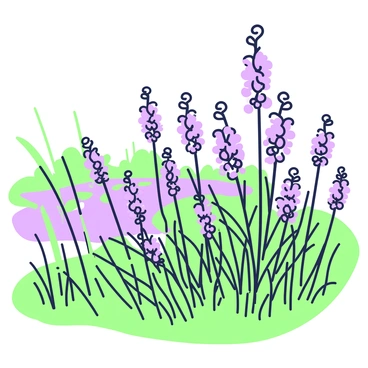 A field of wildflowers is growing along the edges of a marsh. The wildflowers vary in height and are densely clustered together, creating an intricate pattern. Some flowers have long, slender stems while others are more compact. In the foreground, a cluster of tall flowers sways gently in the breeze, their petals fully opened. To the side, a few marsh grass blades rise, framing the scene. The marsh itself is visible in the background, reflecting the light, with patches of water surrounded by more vegetation.
