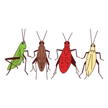 A group of different species of grasshoppers is lined up side by side for comparison. Each grasshopper exhibits a distinct color pattern and size, showcasing their unique attributes. The first grasshopper is green with delicate wings, while the second is brown with intricate spots. The third grasshopper is vibrant red, standing out against the others. The fourth is a pale yellow with narrow antennae. Each grasshopper is detailed, with visible textures on their exoskeletons and well-defined legs. The background is neutral, allowing the focus to remain on the diversity of the grasshoppers.