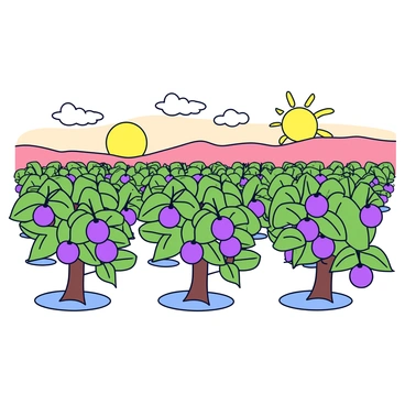 A plum farm featuring neatly organized rows of trees laden with ripe purple plums. The trees have green leaves and sturdy trunks, creating a uniform pattern across the landscape. In the background, a bright sun is setting, casting a warm golden hue across the sky. The horizon is painted with soft shades of orange and pink as the sun descends. The scene captures the tranquility of the farm, with a gentle breeze rustling through the leaves.