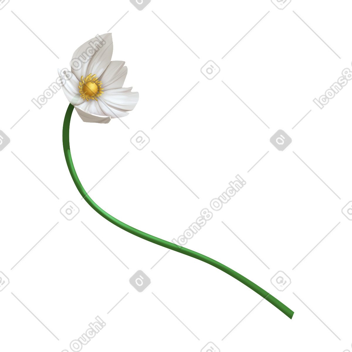 Ilustração de Flor anêmona floco neve em no estilo Props para baixar em PNG, SVG