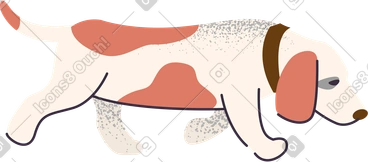 Dog PNG, SVG