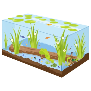 An ecological cross-section of a pond showcases a vibrant underwater scene. The cross-section displays clear water at the top with light filtering through, creating a shimmering effect. At the surface, there are floating green lily pads, some with white flowers blooming. Below the lily pads, various aquatic plants, such as tall reeds and lush green water grasses, are growing from the pond's bottom. 

Swimming through the water, colorful fish in shades of orange, blue, and yellow are seen darting among the plants. A turtle is resting on a submerged log, partially covered with green moss. Scattered around the pond bottom, small pebbles and sand can be seen, along with a few clumps of mud. Various invertebrates like dragonfly larvae and water beetles are visible, adding to the biodiversity of the scene. The entire cross-section encapsulates a lively ecosystem, teeming with various aquatic life forms.