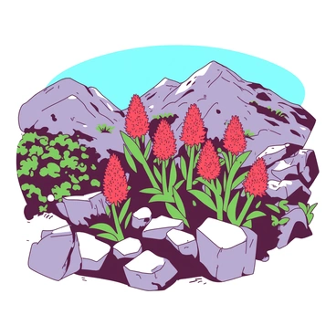 A group of vibrant grevillea plants with striking red flowers is growing on a rocky mountainside. The plants have spiky leaves and are nestled among various gray rocks that protrude from the earth. In the background, the rugged terrain of the mountain is visible, with patches of green foliage and a clear blue sky overhead. Some of the grevillea plants are leaning slightly, suggesting they are swaying in a gentle breeze. The scene captures the natural beauty of the mountainside habitat.