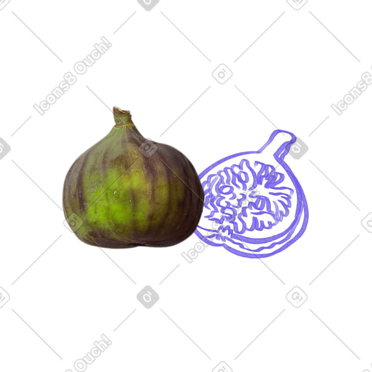 Ilustración Cortar el collage de higos en estilo Marker a descargar en PNG y SVG