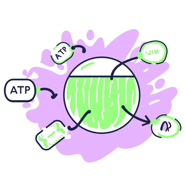 An illustration depicting the transfer of energy from "ATP" to "muscle fibers" during "movement." In the center, there is a close-up view of a muscle fiber, showcasing striations and a textured surface. Surrounding the fiber, small energy packets labeled "ATP" are visibly moving toward the muscle, with some already integrated into the fiber. Arrows are present to indicate the direction of energy transfer. The background features a light gradient that suggests motion, enhancing the dynamic feel of the scene.
