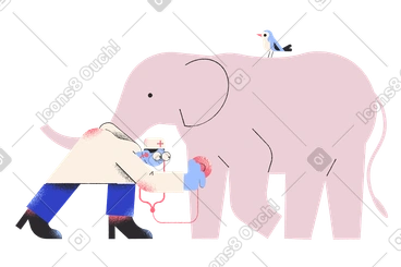 Vet doing a health checkup on elephant PNG, SVG