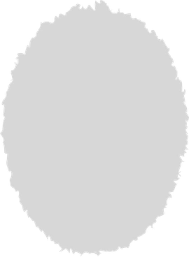 Ellipse grey PNG, SVG