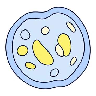 A cutaway view of a cell with a detailed structure showcasing the various components of the cell membrane. Inside the cell, there are multiple mitochondria, each with a distinct oval shape. These mitochondria are emitting a soft yellow glow to represent energy production. The surrounding cytoplasm is depicted with a light blue hue, and the nucleus is visible, appearing as a round structure with a darker outline.