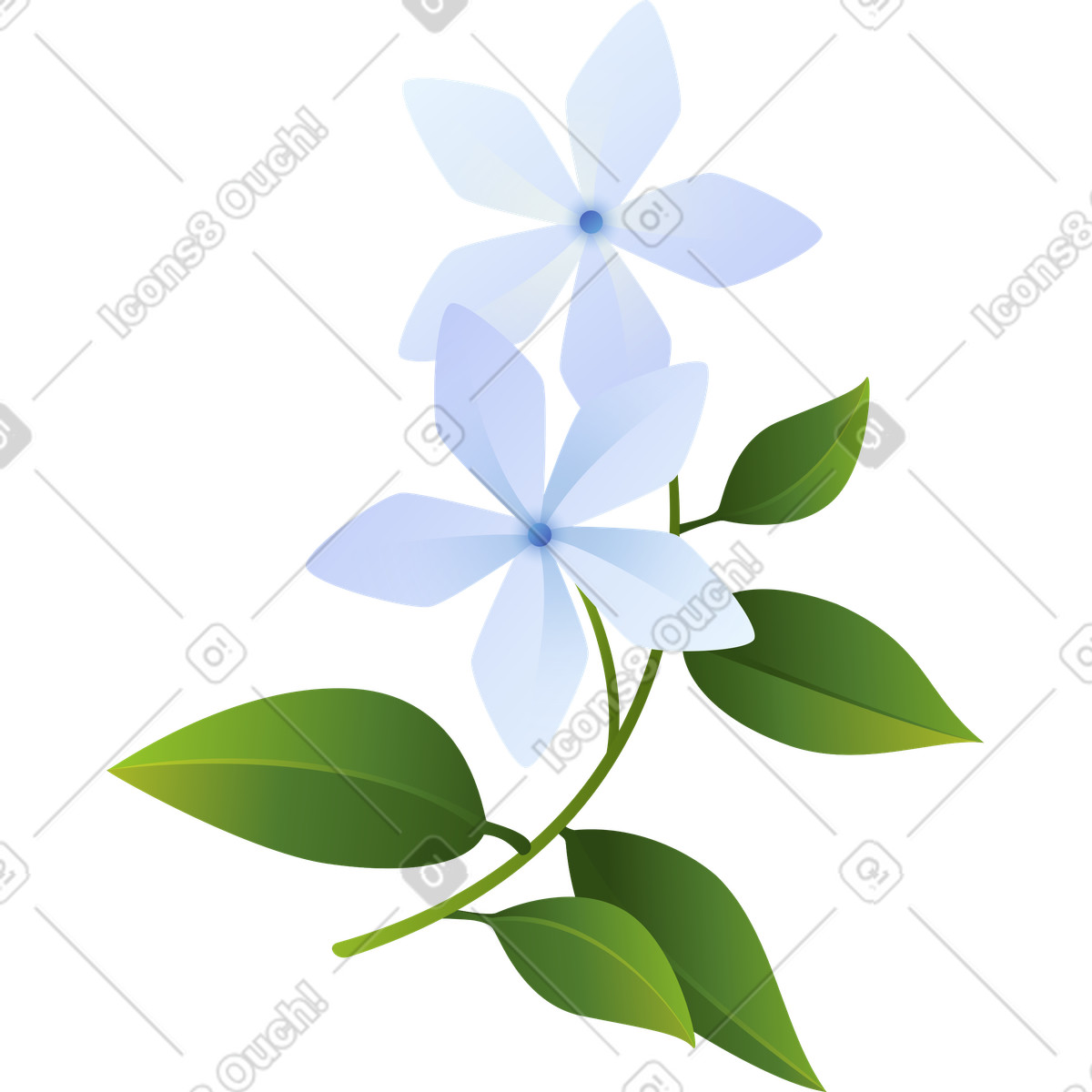 Ilustração de Jasmim branco em um galho no estilo Blossom para baixar PNG, SVG
