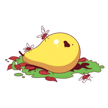 A small group of red fruit flies is gathered around a large yellow pear that has fallen on the ground. The pear is slightly bruised and has a few tiny bites taken out of it. The fruit flies are positioned in various places around the pear, with some resting on the surface and others in mid-flight. The ground is covered in a mix of green grass and scattered fallen leaves, creating a natural setting for the gathering. Sunlight filters down, casting soft shadows of the flies and pear on the ground.