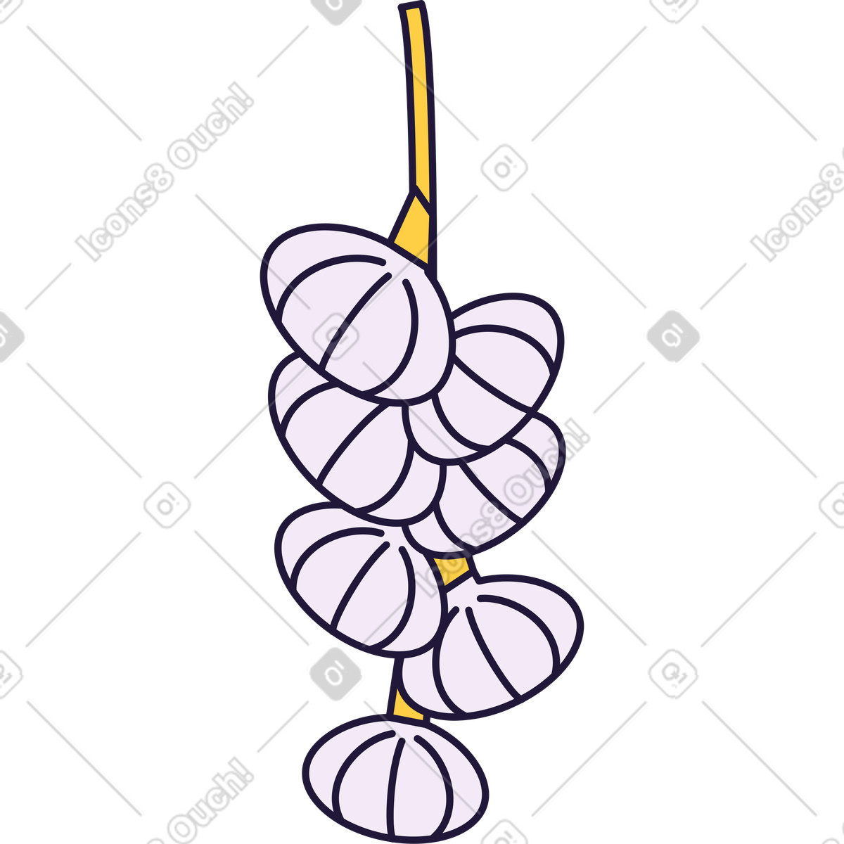 Ilustración Garlic en estilo Conifer a descargar en PNG y SVG