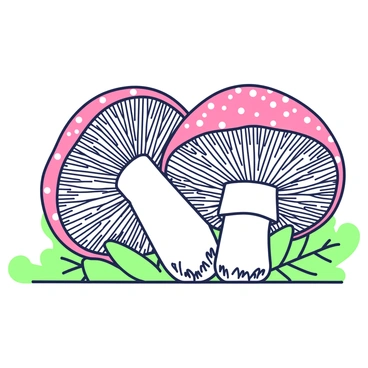 Amanita