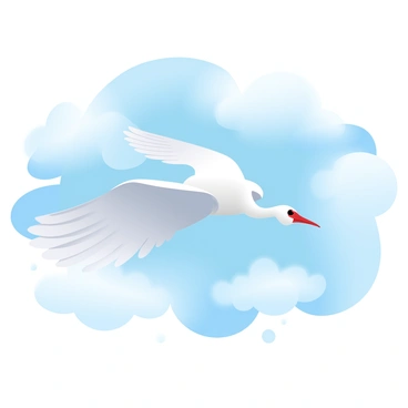 A majestic "cigogne" is soaring gracefully across a clear blue sky filled with soft, fluffy clouds. The "cigogne" has long wings outstretched, highlighting its elegant form as it glides effortlessly. The vibrant blue of the sky contrasts beautifully with the crisp white of the clouds, creating a serene backdrop for the "cigogne." The sunlight casts a gentle glow on the bird's feathers, emphasizing its striking appearance in mid-flight.