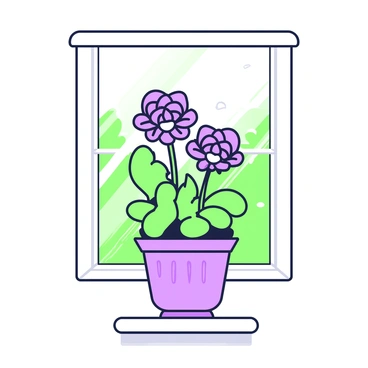 A potted ranunculus plant is sitting on a windowsill. The plant has multiple vibrant blooms, displaying layered petals that fan outwards. The pot is textured and has a circular shape. Sunlight streams through the window, creating a warm glow around the plant. The light casts faint shadows onto the windowsill, enhancing the details of the leaves and flowers. Outside the window, a glimpse of green foliage can be seen, framing the scene and adding depth to the composition.