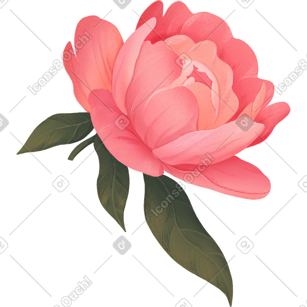 Large open pink peony among the leaves illustrazione in stile Floral scarica in PNG, SVG