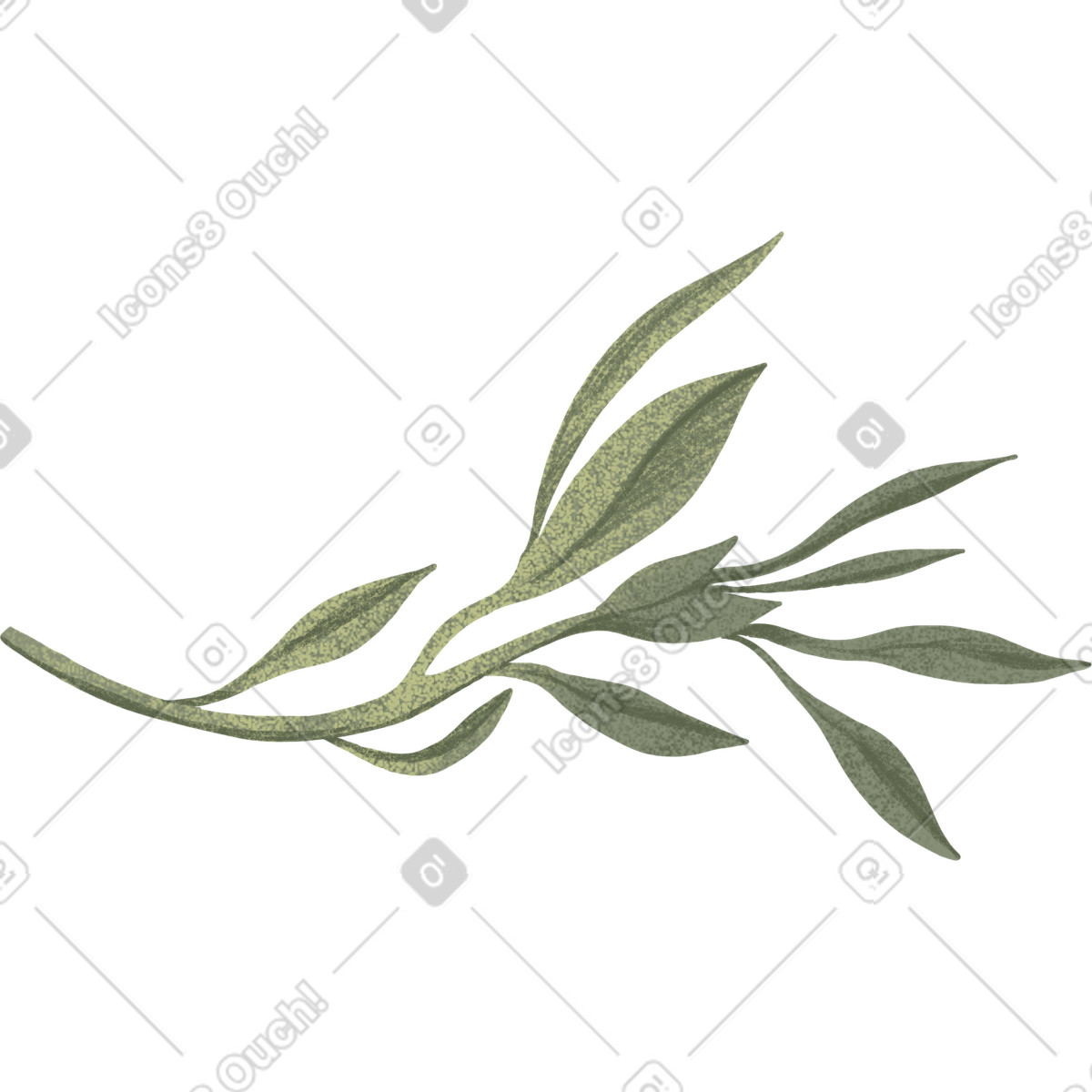 Ramo verde con foglie illustrazione in stile Floral scarica in PNG, SVG