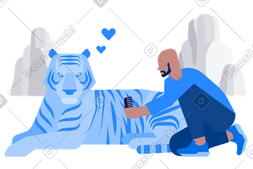 Man grooming a tiger with care PNG, SVG