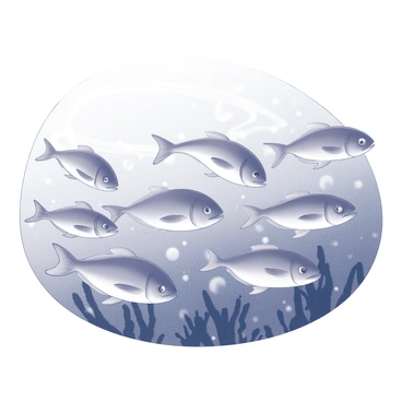A school of fish swimming together in a synchronized pattern. The fish are streamlined and display various body shapes as they travel through the water. Bubbles rise around them, creating ripples in the ocean's surface. Sunlight filters through the water, illuminating the school and casting intricate shadows on the ocean floor. The surrounding water is clear, allowing for visibility of distant coral formations and aquatic plants.