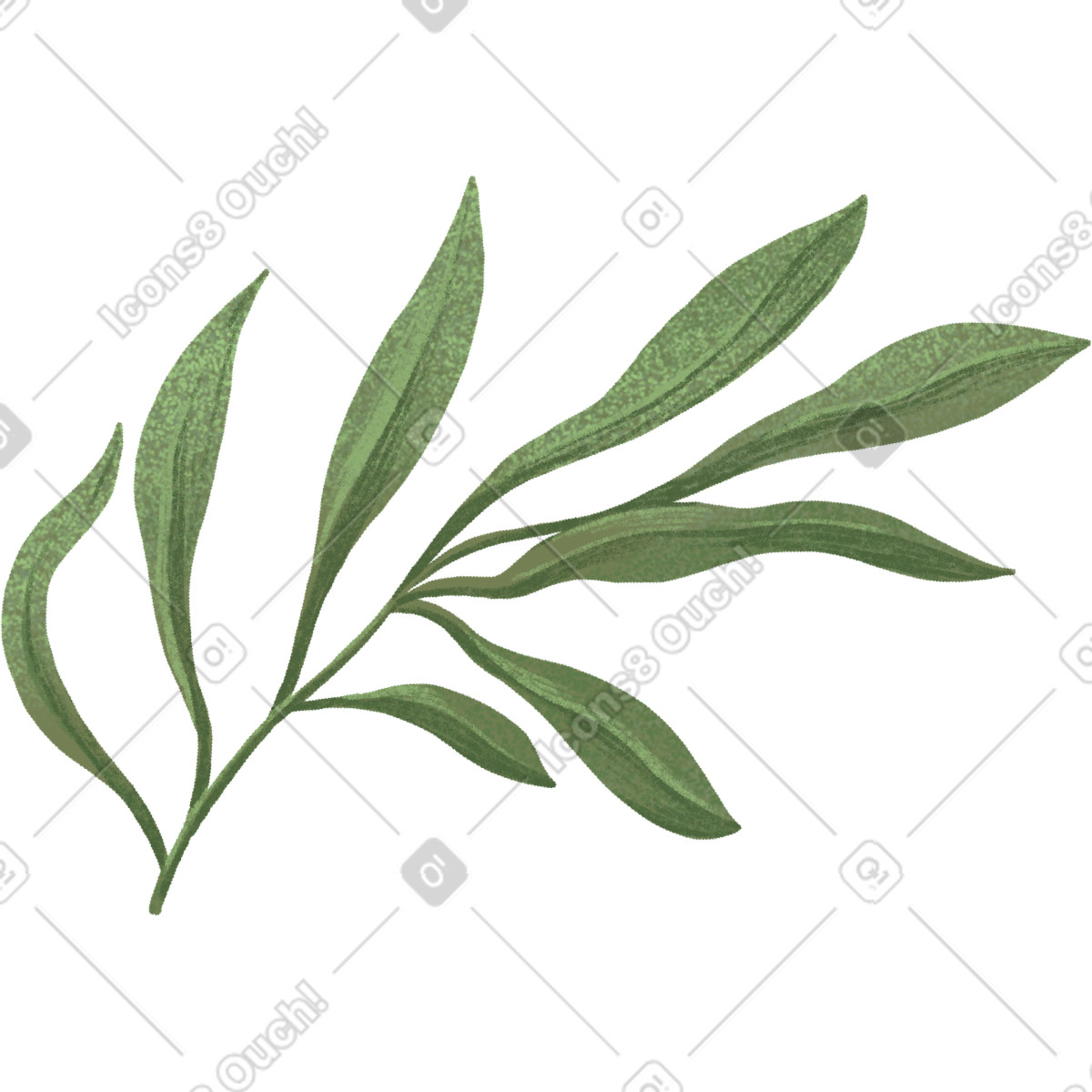 Twig with stretched green leaves illustration in Floral style download in PNG, SVG