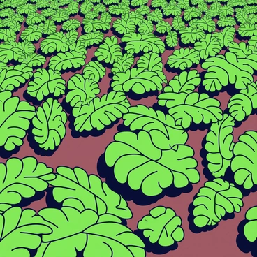 A forest floor densely covered with a variety of vibrant green ferns. The ferns display different shapes and sizes, some with broad, feathery fronds while others are more slender and delicate. Shadows cast by the overhead trees create a pattern on the ground, enhancing the rich green colors of the foliage. Small patches of rich brown earth are visible between the ferns, adding contrast to the scene.