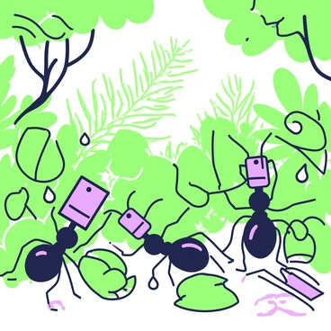 A group of ants is actively measuring temperature and humidity in a lush rainforest environment. The ants are equipped with tiny instruments, using their antennae to interact with the tools. Surrounding them, there are vibrant green ferns and large leaves, creating a dense foliage backdrop. Drops of water are visible on the leaves, indicating recent rain. Sunlight filters through the canopy above, creating dappled patterns on the forest floor. In the background, there are tall trees with thick trunks and intertwining branches, adding to the richness of the rainforest setting.