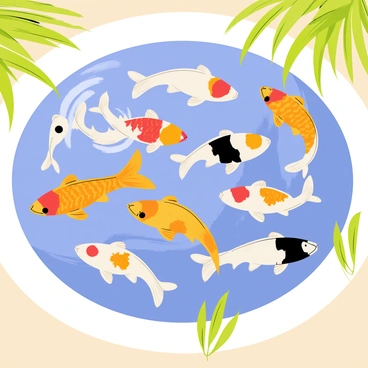 A school of colorful koi fish swimming together in a clear blue pond. The koi fish display vibrant patterns of orange, white, and black scales. Their graceful movements create ripples in the water, while green aquatic plants sway gently around them. Sunlight filters through the water, illuminating the fish and casting dappled shadows on the pond's sandy bottom.