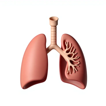 A detailed diagram of the respiratory system, showcasing the lungs and trachea. The lungs are represented in a realistic anatomical structure, displaying the bronchi branching out into bronchioles. The trachea is depicted as a sturdy tube, connecting the throat to the lungs, with clearly defined rings of cartilage. The diagram includes labeled parts such as the left lung, right lung, diaphragm, and the nasal cavity at the top. The colors used are natural tones, highlighting the different structures for clarity.