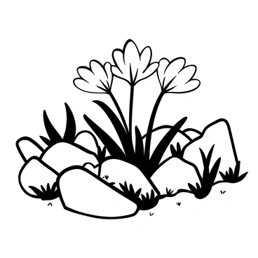 A cluster of "crocus flowers" with delicate petals emerging between "rocks" of varying sizes in a natural garden setting. The "rocks" are unevenly distributed, creating a rugged terrain. Surrounding the flowers, there are patches of "grass" and a few small "plants" peeking through the crevices. In the background, a few more "rocks" are visible, enhancing the natural feel of the garden. The composition captures the harmony between the "flowers" and their rocky environment.