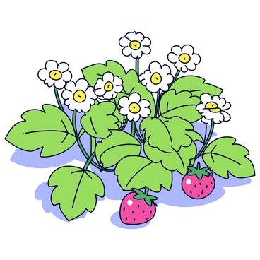 Fraise