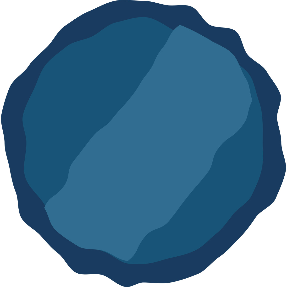 下载 Cherry 风格的 Abstract coin silhouette with irregular border 插画，支持 PNG、SVG 格式