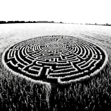 An aerial view displays a large crop circle maze situated in the center of a vast field. The maze features intricate patterns and designs formed by the crops, showcasing various geometric shapes and pathways. Surrounding the maze, the field is a uniform expanse of tall crops, which create a stark contrast with the circular formations. The sky above is clear, allowing for bright illumination on the scene. The entire composition highlights the complexity and scale of the crop circle maze against the backdrop of the expansive landscape.