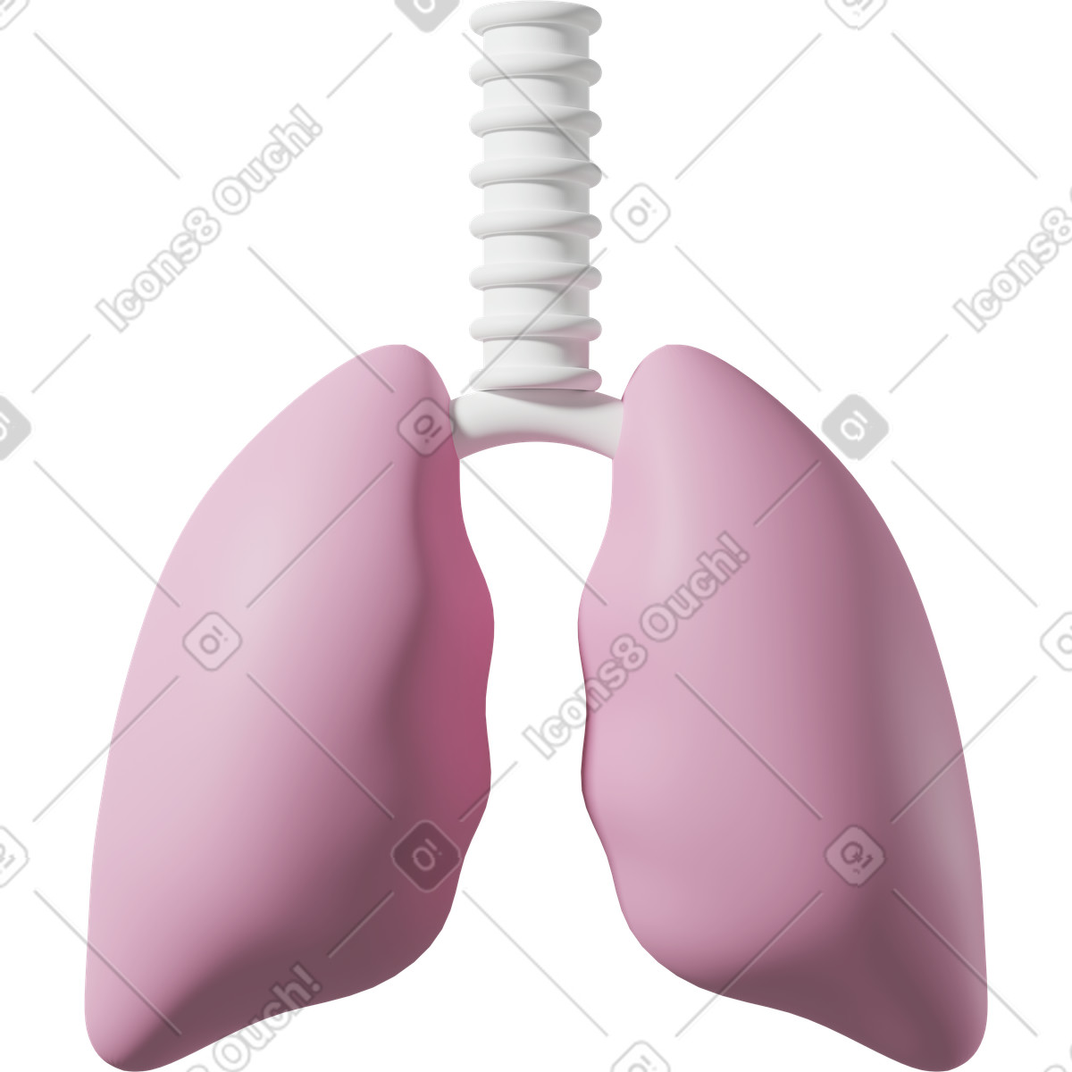 Pink lungs illustrazione in stile 3D Casual life scarica in PNG, SVG