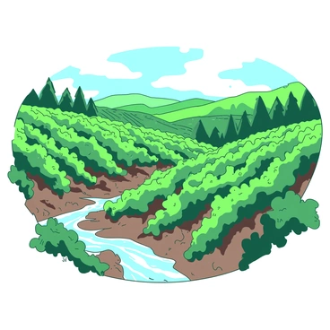 A vineyard on a hillside with rainwater trickling down through the grapevines