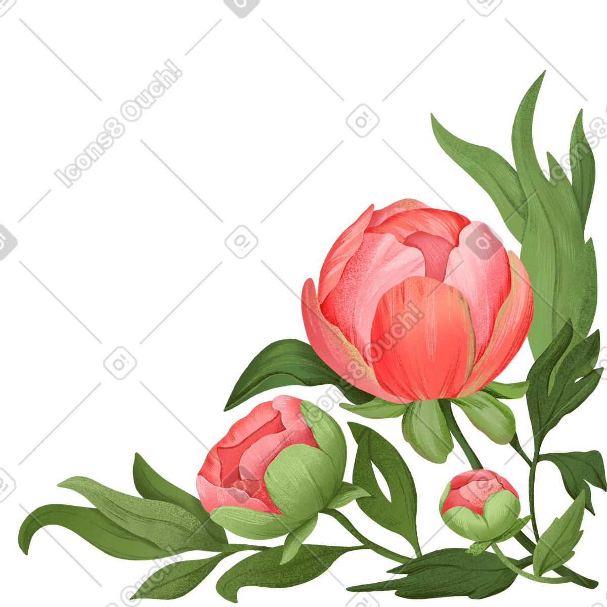 下载 Floral 风格的 三朵牡丹的角落组合 插画，支持 PNG、SVG 格式